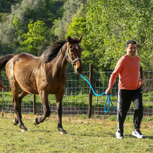 methodology-horse-page methodology-horse-page